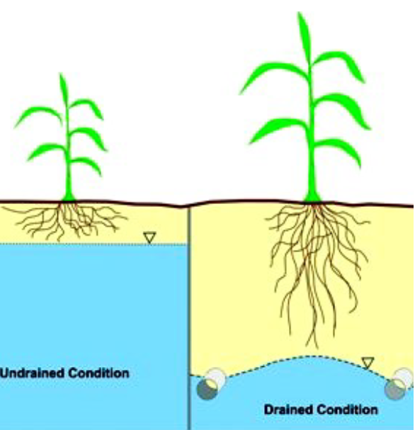 tile drainage graphic