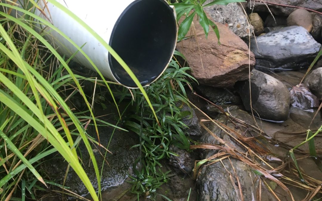 Update on Tile Drain Monitoring
