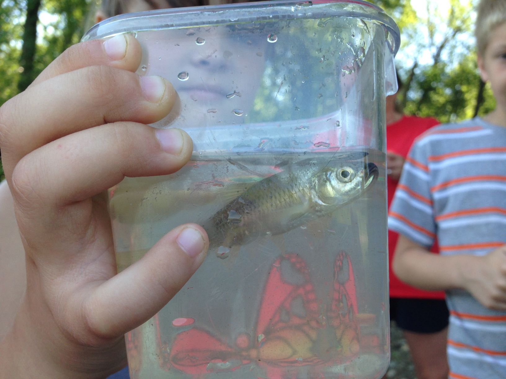 Camper showing a minnow