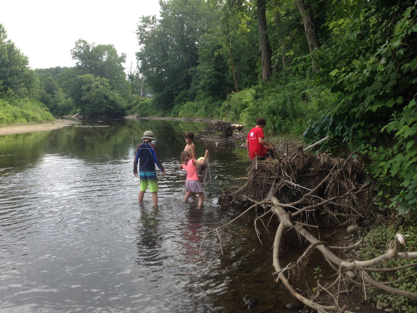 Campers wading by a dead snag