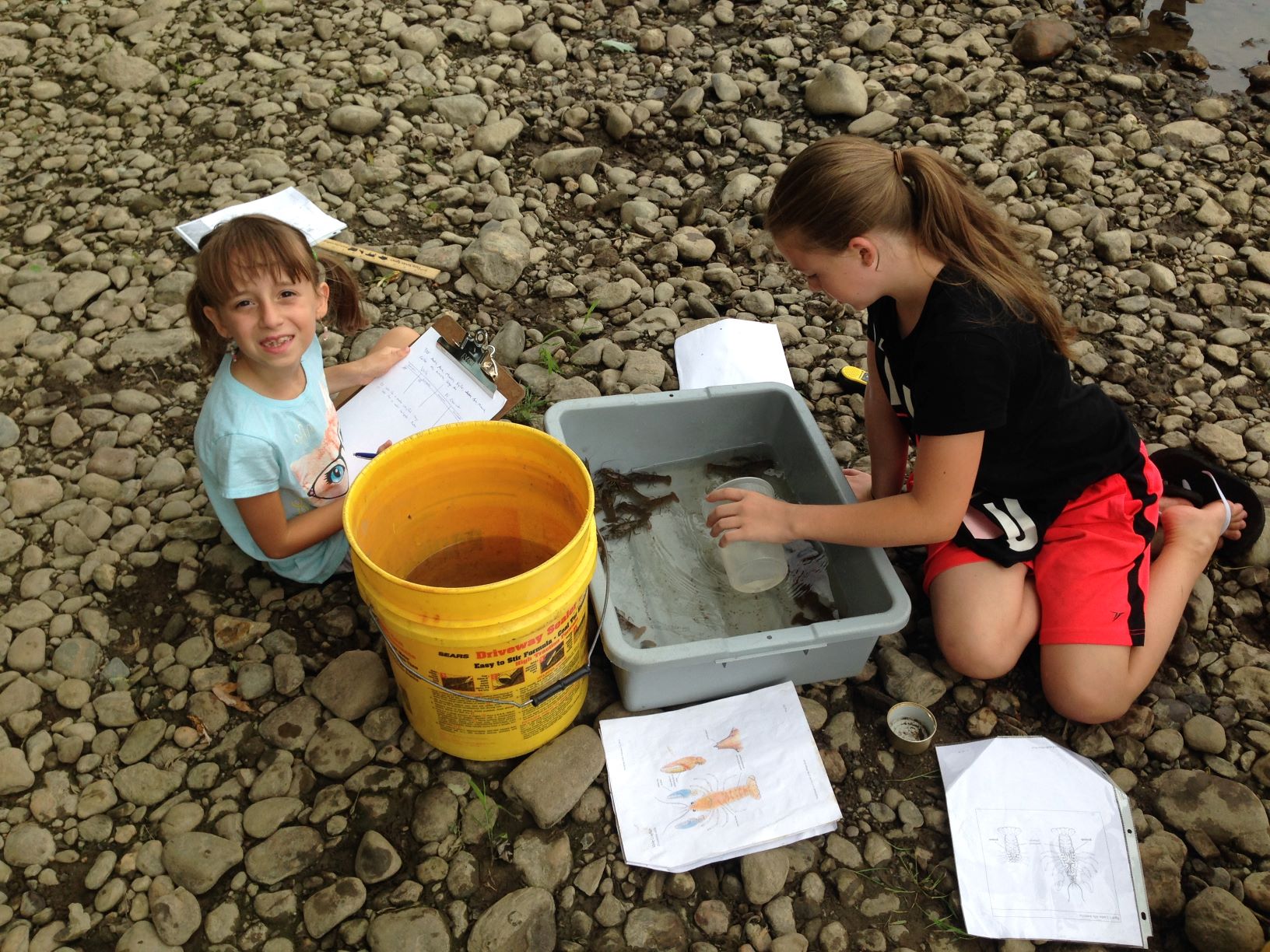 Campers studying crayfish