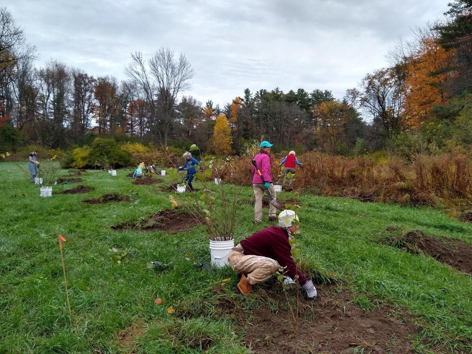 Vermont Association of Conservation Districts. Our Land. Our Water. Our