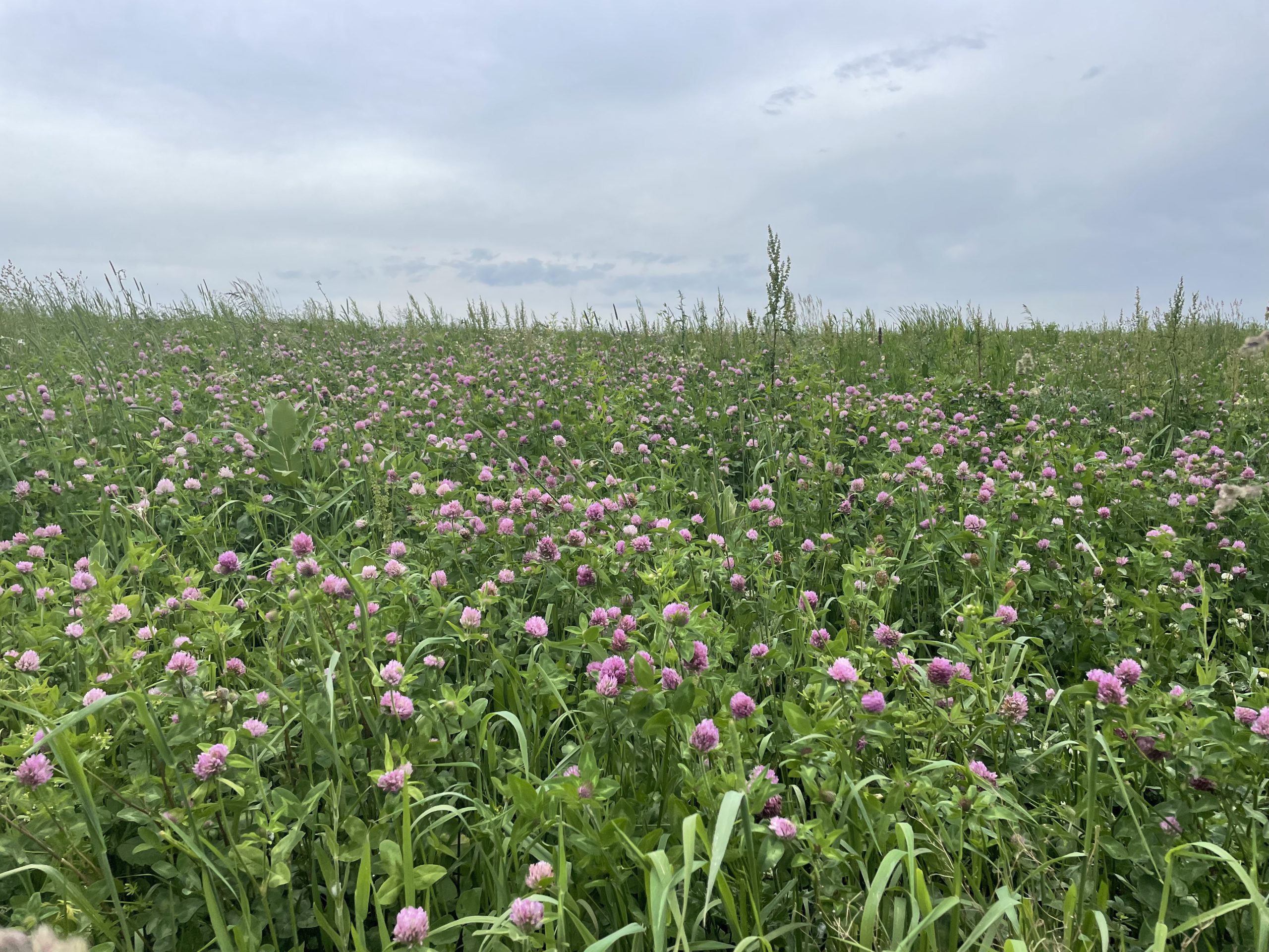 Vermont Association of Conservation Districts. Our Land. Our Water. Our