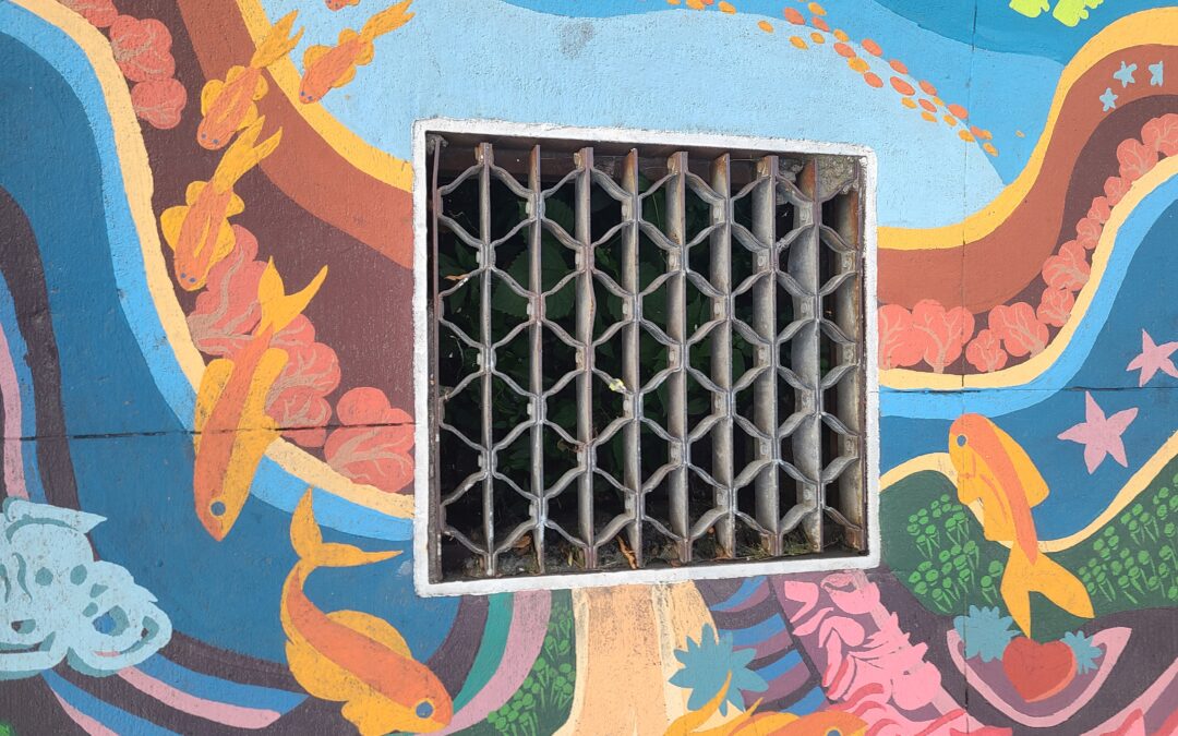 painted underwater scene surrounding a storm drain
