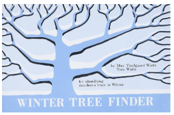 Winter Tree Finder Cover art of Winter Tree Finder book, snow covered tree