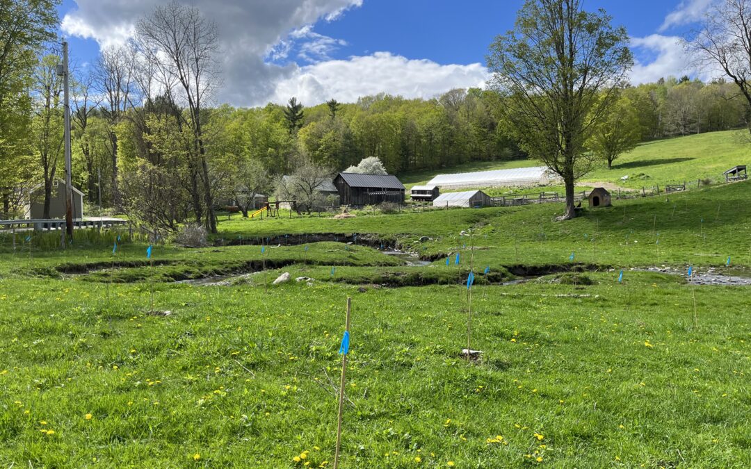 Buffer Planting Along a Farmstead for Woodland Health