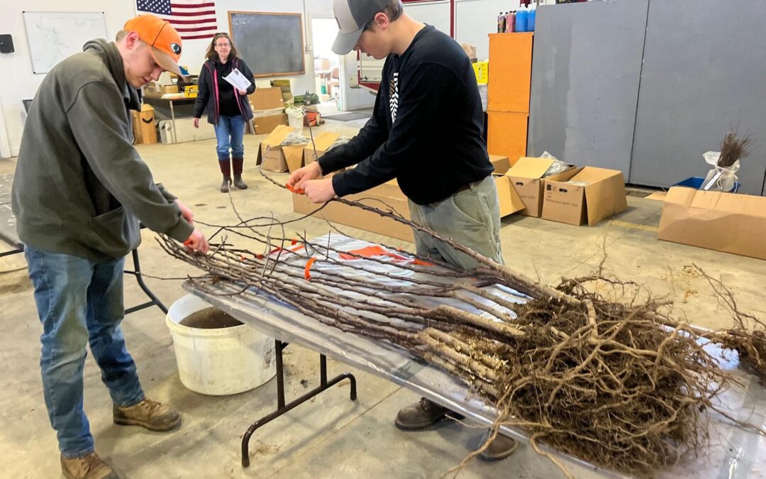 Tree Sales Boost Local Habitats
