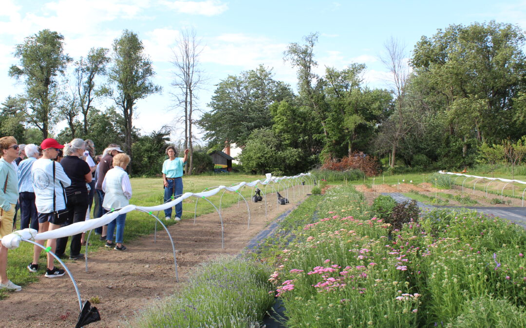 Flower Farming at Morgan Hill Farm