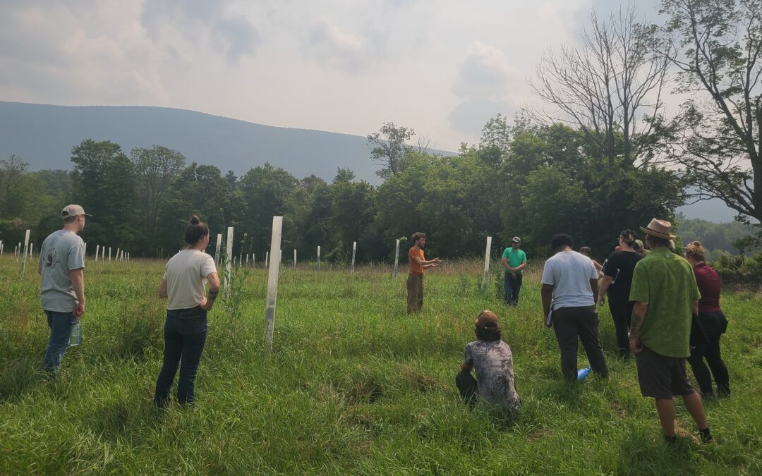 Intensive Silvopasture Workshop with Bennington County Conservation District