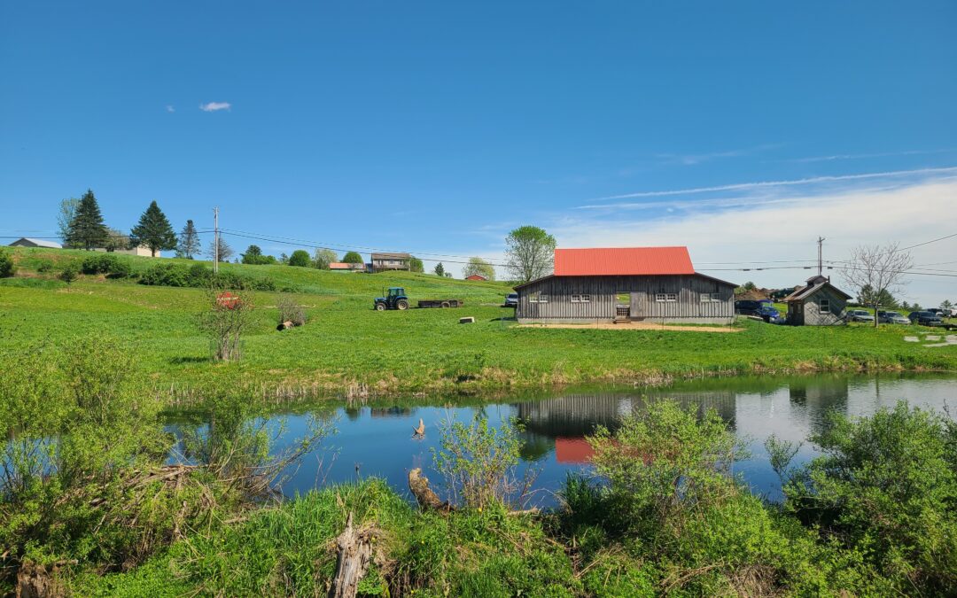 Stream with barn behind